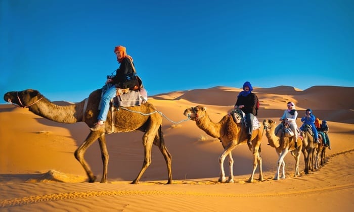 Traversing the Desert Wonders: The Magic of Camel Riding Safari
