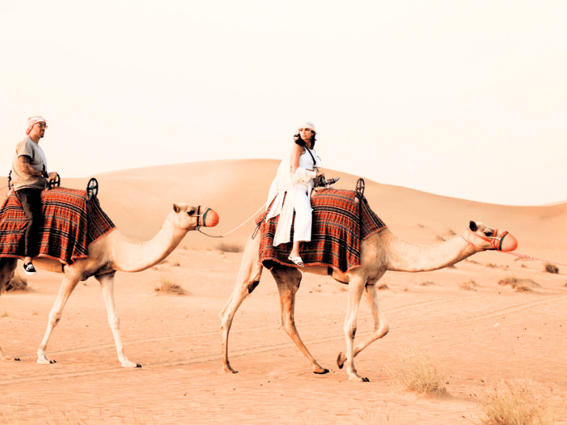 Exploring the Magic of Desert Safaris with Camel Rides